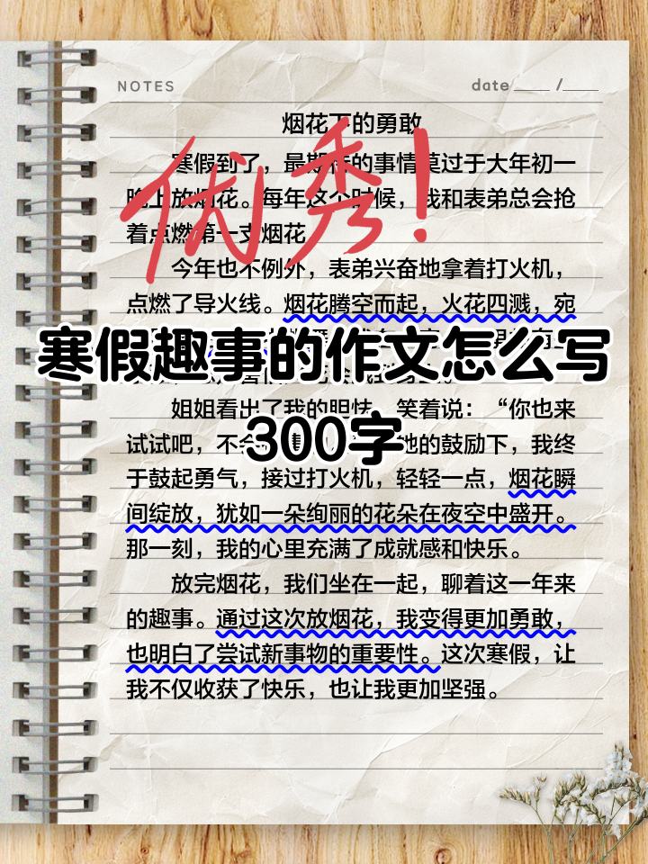 寒假趣事作文300字