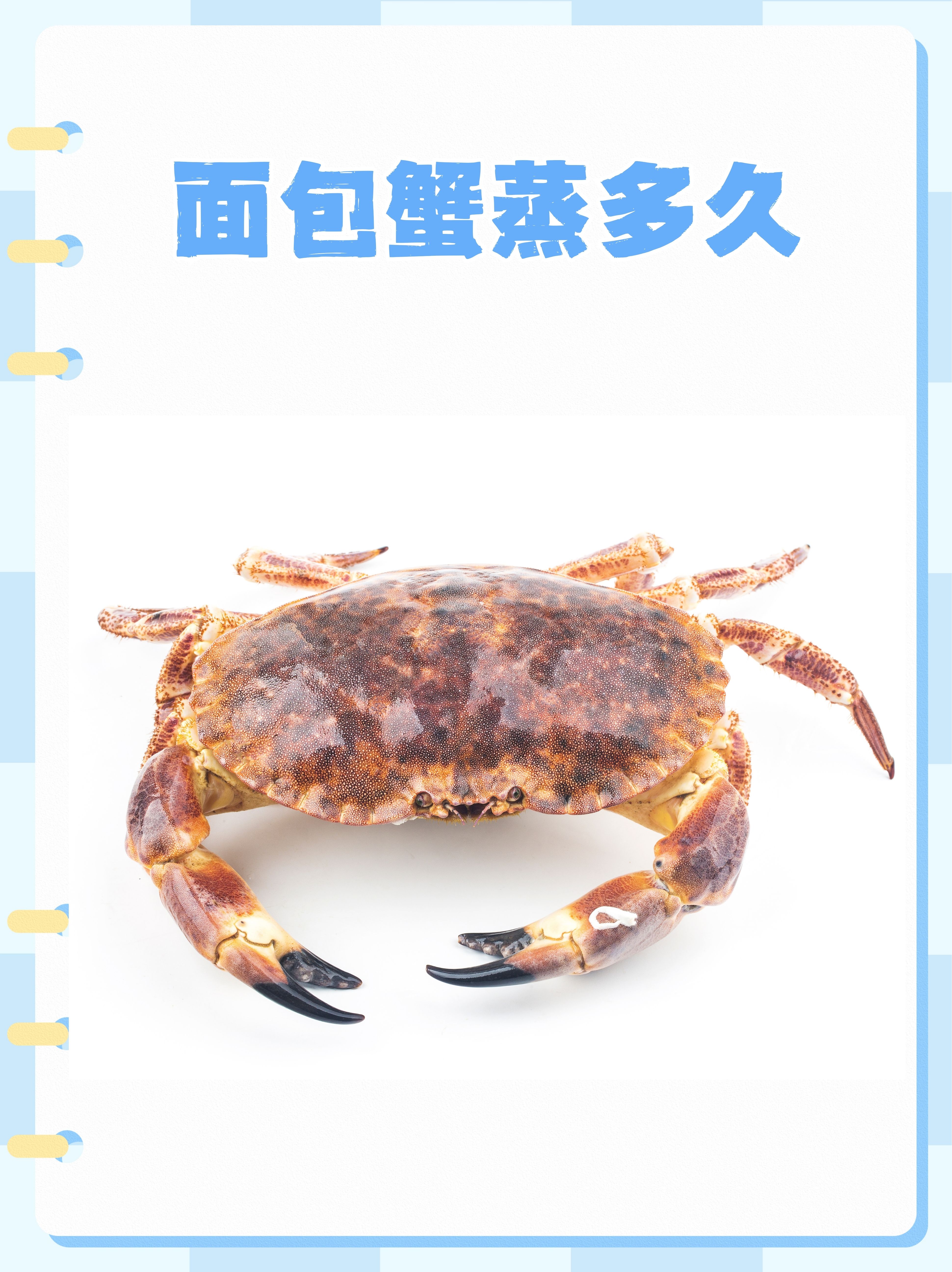 2025年9月12日 第4页