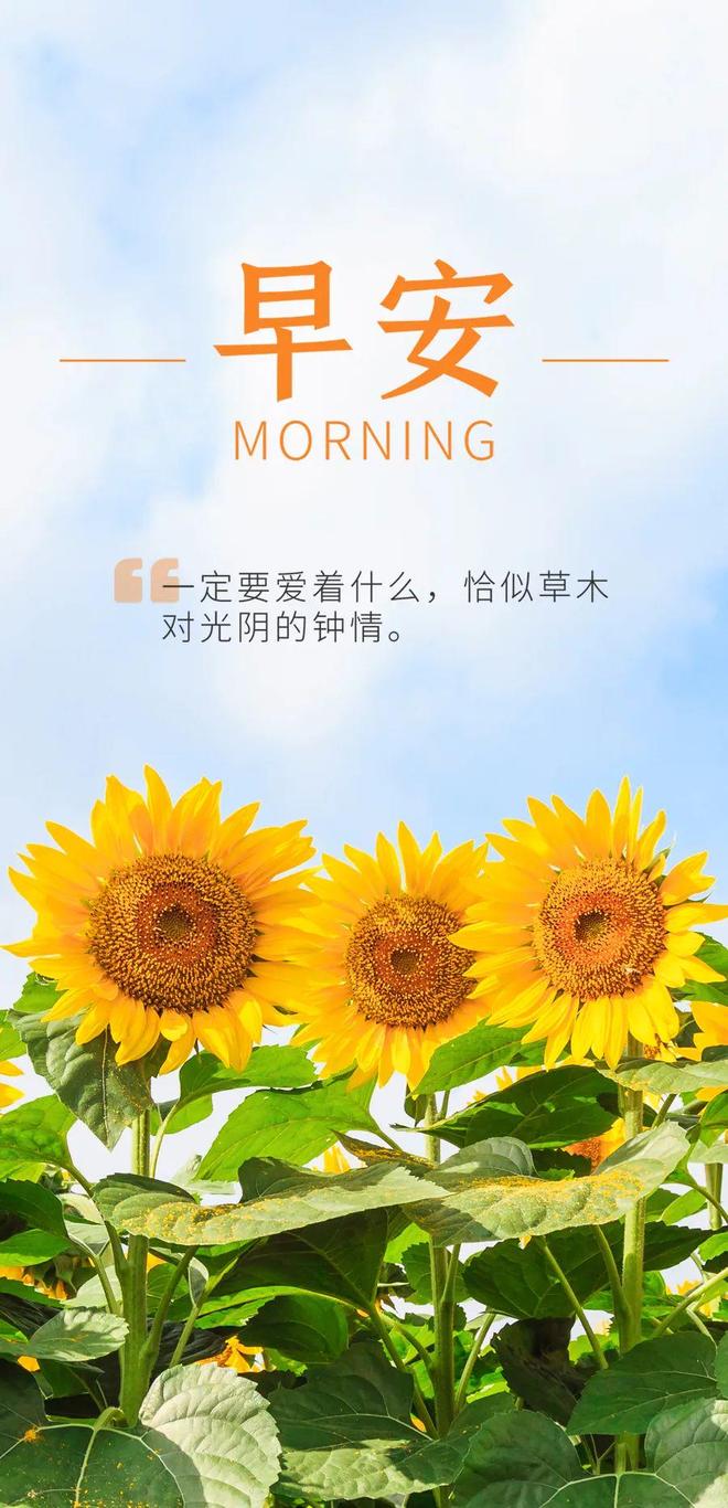 致自己奋斗的励志短句