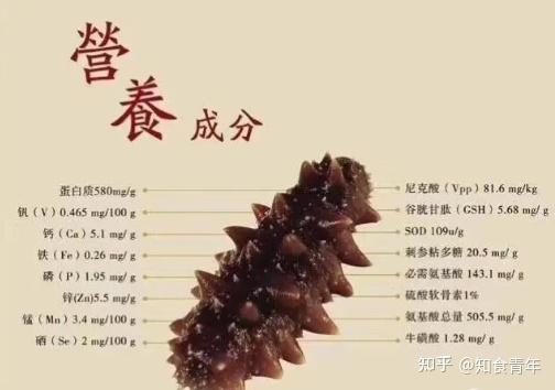 顺企网